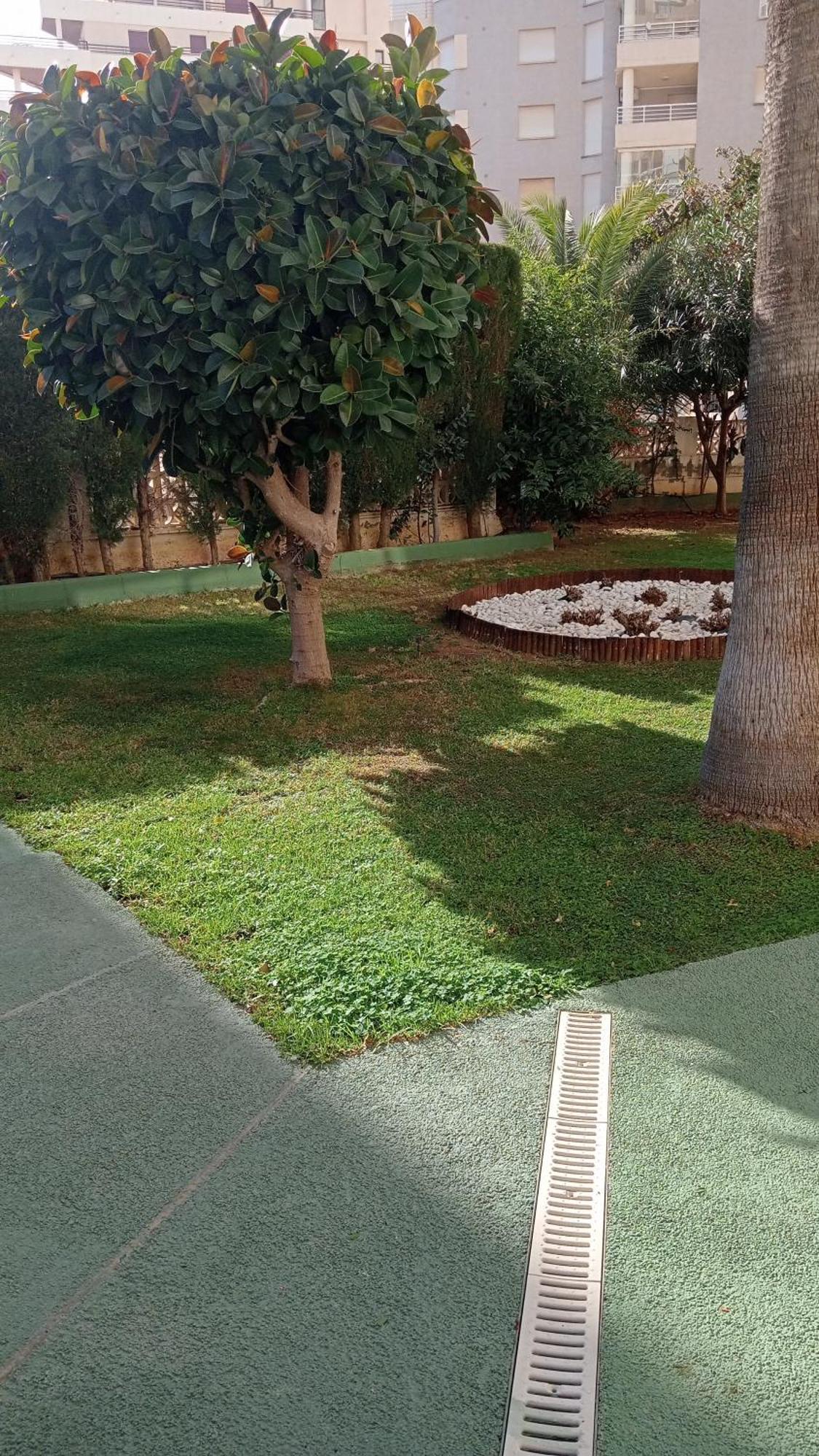 Rosa De Los Vientos Calpe Zewnętrze zdjęcie
